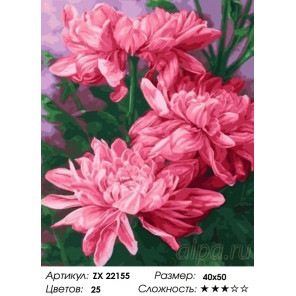 Количество цветов и сложность Цветки малиновых пионов Раскраска картина по номерам на холсте ZX 22155