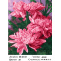 Цветки малиновых пионов Раскраска картина по номерам на холсте