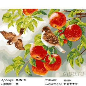  Воробьи на яблоне Раскраска картина по номерам на холсте ZX 22191