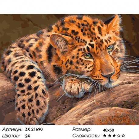 Количество цветов и сложность Африканский леопард Раскраска картина по номерам на холсте ZX 21690