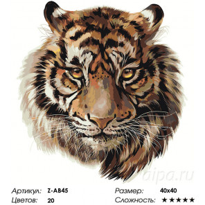  Тигр Раскраска по номерам на холсте Живопись по номерам Z-AB45