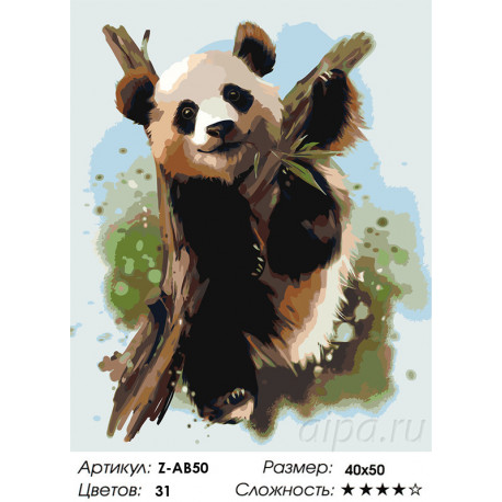 Сложность и количество цветов Малыш панда Раскраска по номерам на холсте Живопись по номерам Z-AB50
