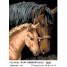 Сложность и количество цветов Лошадь с жеребенком Раскраска картина по номерам на холсте AYAY-10052019