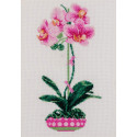 Розовая орхидея Набор для вышивания Риолис