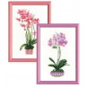 3_2 Розовая орхидея Набор для вышивания Риолис