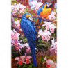 Цветные попугаи Алмазная вышивка мозаика Алмазное Хобби