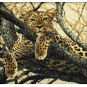Леопард Набор для вышивания Риолис