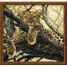 В рамке Леопард Набор для вышивания Риолис 937