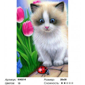 Количество цветов и сложность Маленький котенок Раскраска по номерам на холсте Molly KH0314