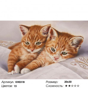 Количество цветов и сложность Рыжие котята Раскраска по номерам на холсте Molly KH0318