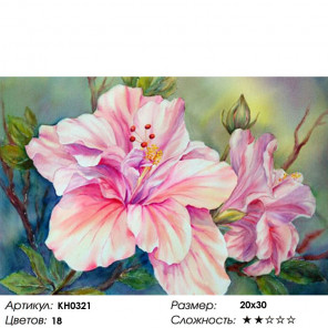  Красивый цветок Раскраска по номерам на холсте Molly KH0321