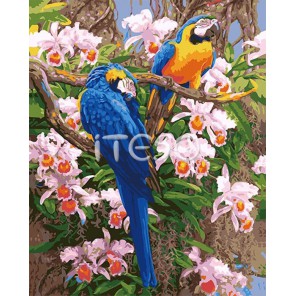 Бразильские попугаи Раскраска (картина) по номерам акриловыми красками на холсте Iteso