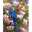Бразильские попугаи Раскраска (картина) по номерам на холсте Iteso