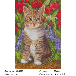  Котенок в саду Раскраска по номерам на холсте Molly KH0326