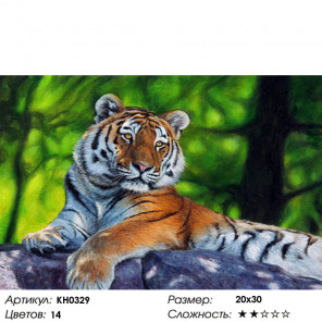  Амурский тигр Раскраска по номерам на холсте Molly KH0329