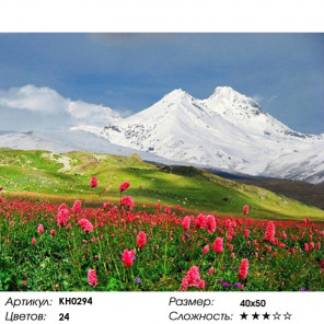 Количество цветов и сложность Эльбрус Раскраска по номерам на холсте Molly KH0294