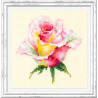 В рамке Нежная роза Набор для вышивания Чудесная игла 150-004