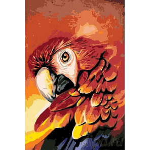 Раскладка Огненный попугай Раскраска картина по номерам на холсте A358