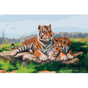 Раскладка Пара тигров Раскраска картина по номерам на холсте KRYM-Z004