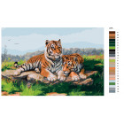 Раскладка Пара тигров Раскраска картина по номерам на холсте KRYM-Z004