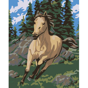  Бегущий конь Раскраска картина по номерам на холсте KRYM-AN01