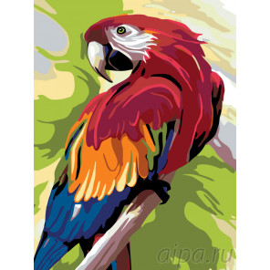 Схема Говорящий попугай Раскраска по номерам на холсте Живопись по номерам A353