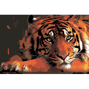 Раскладка Тигр в уединении Раскраска по номерам на холсте Живопись по номерам Z1795