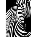 Окрас зебры Раскраска по номерам на холсте Живопись по номерам