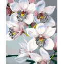 Стильные орхидеи Раскраска по номерам на холсте Живопись по номерам