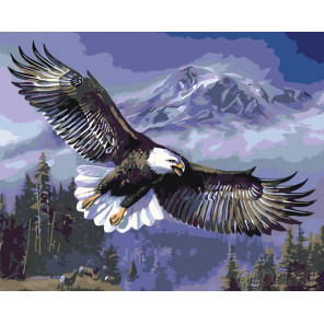 Раскладка Парящий орлан Раскраска картина по номерам на холсте KTMK-60370