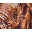 Мудрый слон Раскраска по номерам на холсте Живопись по номерам