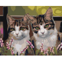 Трехцветные котики Раскраска по номерам на холсте Живопись по номерам