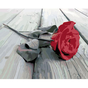 Раскладка Красная роза на сером Раскраска картина по номерам на холсте KTMK-2474861