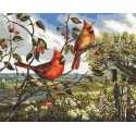 Красное великолепие (художник Донна Рейс) Раскраска картина по номерам Plaid