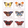  Бабочки Набор для вышивания Thea Gouverneur 2037A