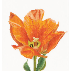  Оранжевый тюльпан Триумф Набор для вышивания Thea Gouverneur 523A