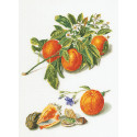 Апельсины и мандарины Набор для вышивания Thea Gouverneur