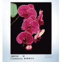 Утонченность орхидеи Раскраска по номерам на холсте Hobbart