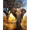 Африканский слон Алмазная вышивка мозаика