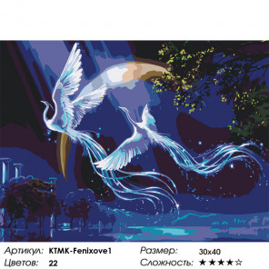 Сложность и количество цветов Звездные фениксы Раскраска картина по номерам на холсте KTMK-Fenixove1