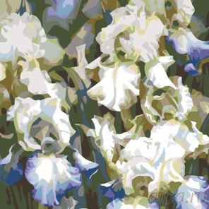 Раскладка Белые ирисы Раскраска картина по номерам на холсте F19