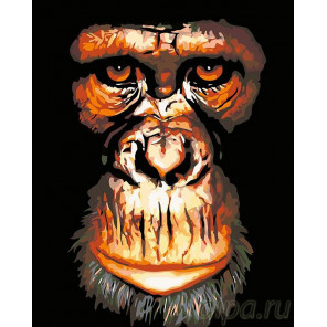 Раскладка Портрет обезьяны Раскраска картина по номерам на холсте A179