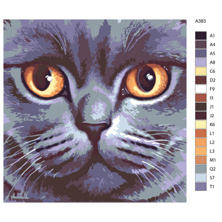 Раскладка Кошачья мордочка Раскраска по номерам на холсте Живопись по номерам A383