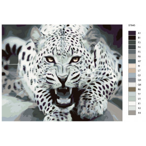 Схема Угроза леопарда Раскраска по номерам на холсте Живопись по номерам KTMK-57945