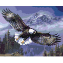 Парящий орлан Раскраска картина по номерам на холсте
