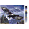 Раскладка Парящий орлан Раскраска картина по номерам на холсте KTMK-60370