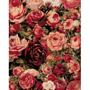  Множество роз Раскраска картина по номерам на холсте KTMK-87286