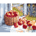 Летние яблоки Раскраска картина по номерам на холсте