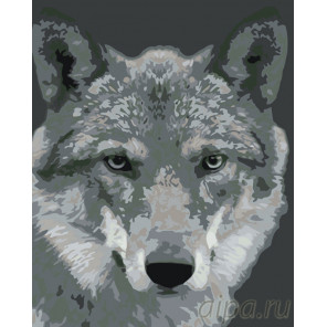  Серый волк Раскраска по номерам на холсте Живопись по номерам KTMK-351313
