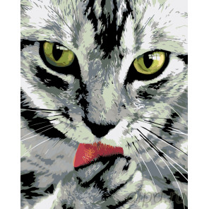  Чистоплотный котик Раскраска по номерам на холсте Живопись по номерам A434